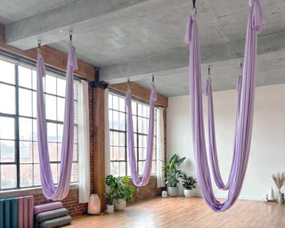 Studios & Trainer:innen